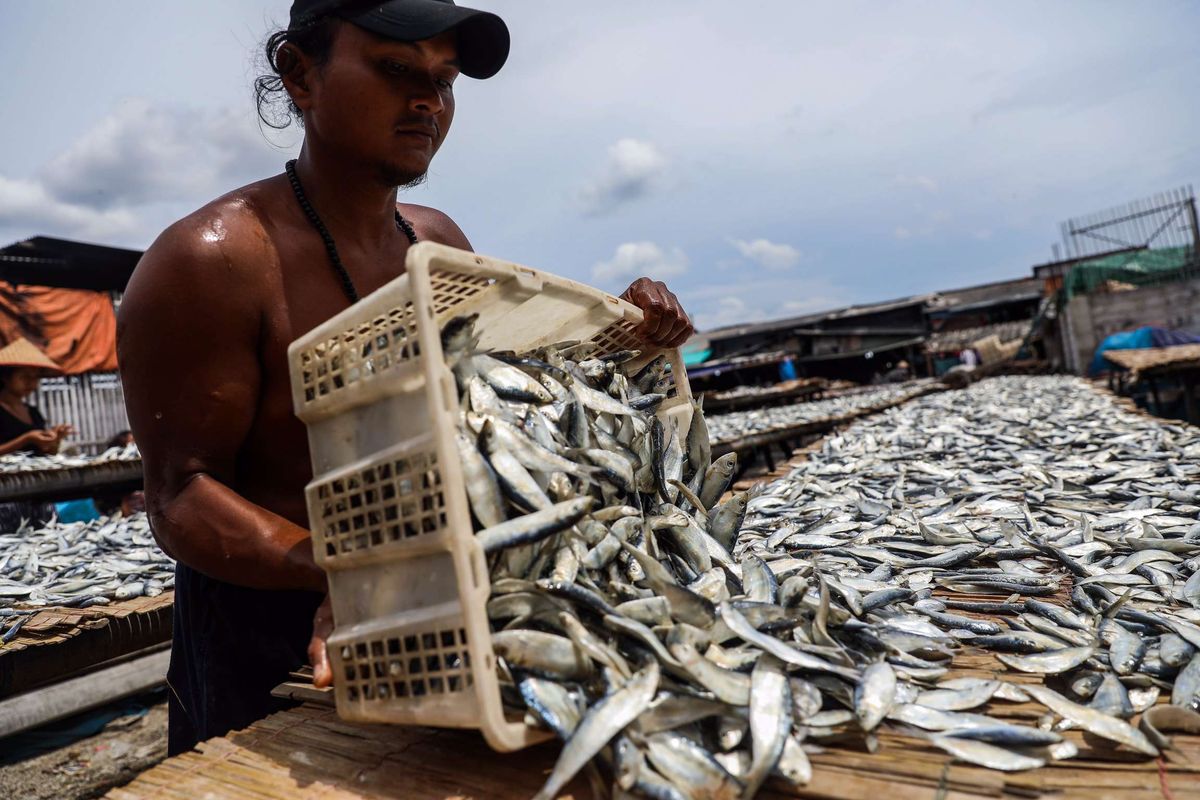 Bukti-bukti Ikan Asin Sudah Ada Sejak Zaman Kuno