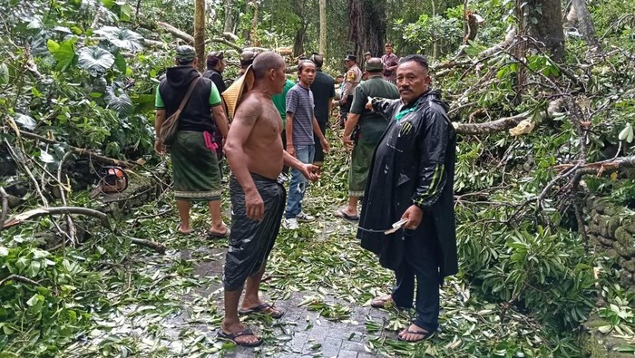 Identitas 2 Turis Tewas Tertimpa Pohon Tumbang di Monkey Forest Ubud